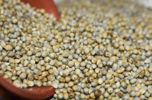 Natural Bajra Millets, Color : Greyish Brown