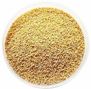 Natural Foxtail Millets, Color : Light Yellow