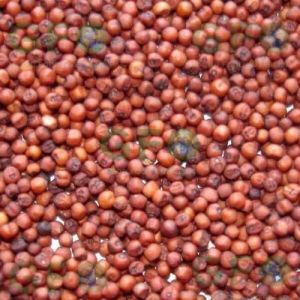 Ragi Finger Millet, Color : Dark Brown for Health Food Recipes