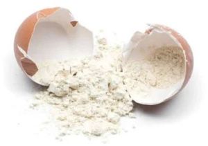 Dehydrated Egg Shell Powder, Packaging Type : Plastic Packet