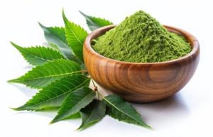 Green Dehydrated Neem Powder, Packaging Type : Resealable Pouch