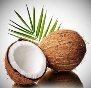 Coconut