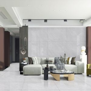 Endless Titano Pearl Glossy Finish Ceramic Tiles