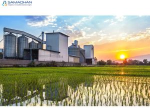 Rice Mill Manufacturing ERP Software