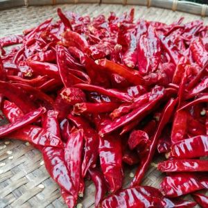 Red Chilli