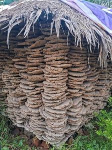 cow dung cake