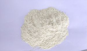 Dehydrated White Onion Powder