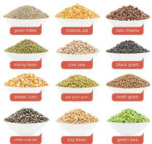 Indian Pulses
