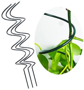 Tomato Spiral Stakes