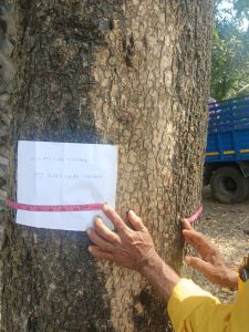 Plain Sandalwood Red Chandan, Color : Brown