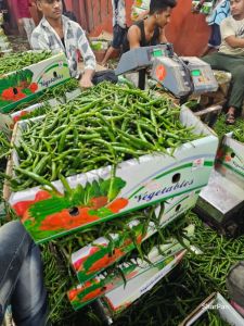 Organic Fresh G4 Green Chilly for Spices, Cooking