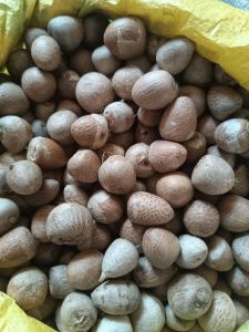 Whole Betel Nuts for Herbal Formulation, Ayurvedic Formulation