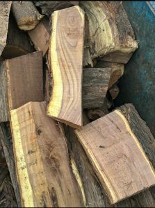 Polished Plain Babool Boiler Firewood, Color : Brown