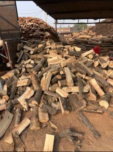 Firewood Logs Dry, Color : Brown, Weight : Varies