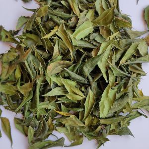 Natural Dried Neem Leaves, Color : Green
