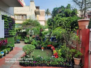 Garden Landscaping Services