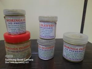 Organic Moringa Oleifera, Condition : Dry