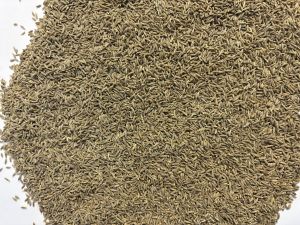 Cumin Seed Jeera