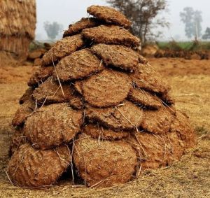 Cow Dung Cakes Cow Dung Cakes