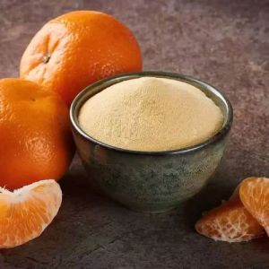 Dehydrated Orange Powder