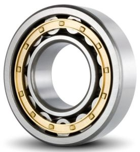 Single Row Cylindrical Roller Bearing