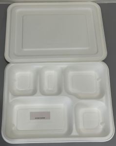 5 Section Sugarcane Bagasse Meal Tray, Color : Natural Off-White