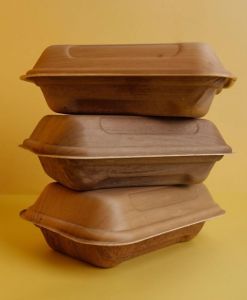 Areca Palm Leaf Food Packaging Box, Color : Brown Wooden Finish
