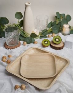 Areca Palm Leaf Square Meal Plates