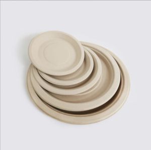 Eco-Friendly Sugarcane Bagasse Round Dinner Plates