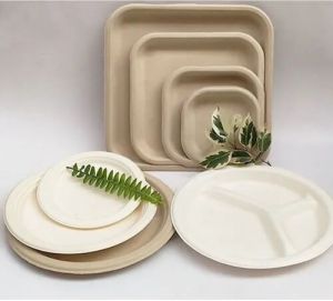 Ecodine Molded Fiber Bagasse Serving Plate, Color : Natural Off-white
