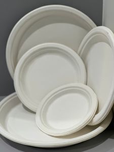 Round Plain Sugarcane Bagasse Disposable Dinner Plates