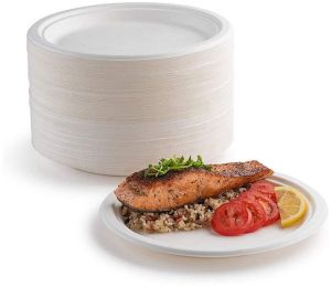 Round Sugarcane Bagasse Dinner Plates