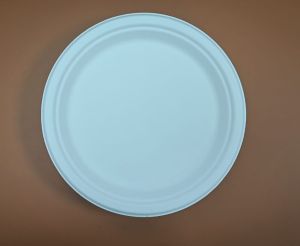 Round Sugarcane Bagasse Disposable Dinner Plates