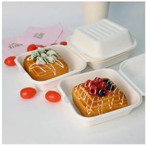 Sugarcane Bagasse Hinged Food Clamshell Box