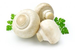 White Button Mushroom Fresh, Packaging Type : Plastic Bag