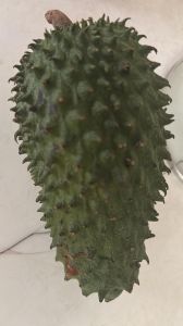 Soursop Fruit