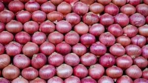 Red Onion, Cultivation Type : Natural for Cooking, Food