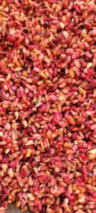 Pomegranate Seeds