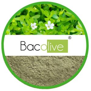Bacolive - Bacopa Monnieri Extract