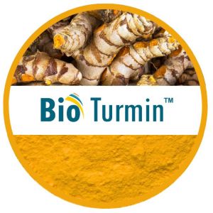 Bioturmin - Turmeric Extract