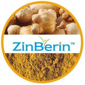 Zinberin - Ginger Extract