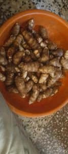 Taro Root, Taste : Mildly Sweet For Cooking