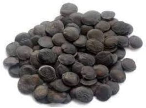 Brown Organic Griffonia Seeds, Grade Standard : Medicine Grade