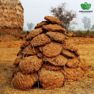 Cow Dung Cake Cow Dung Cake