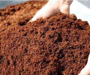 Organic Compost Fertilizer