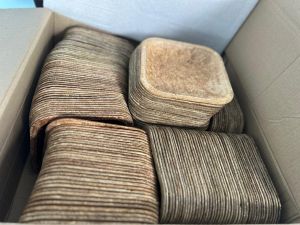 Organic Bio Plate 7inch