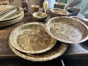 Organic Bio Plates 12inch