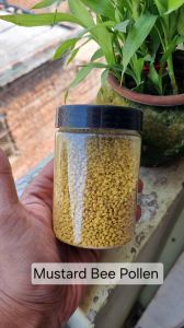 Bee Pollen