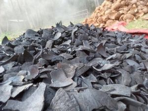 Coconut Shell Charcoal