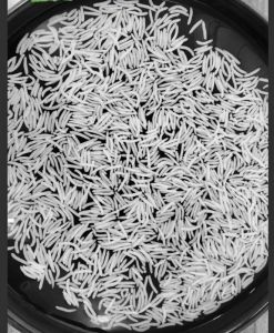 1401 Steam Basmati Rice